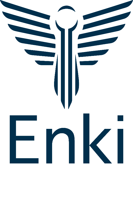 Enki Business Solutions Logo